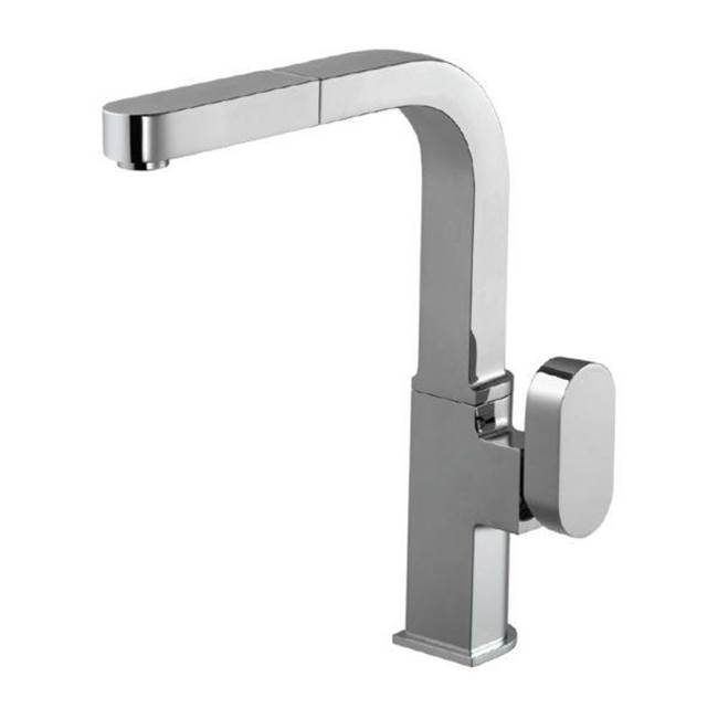 Hamat Single Function Pull Out Kitchen Faucet in Brushed Brass